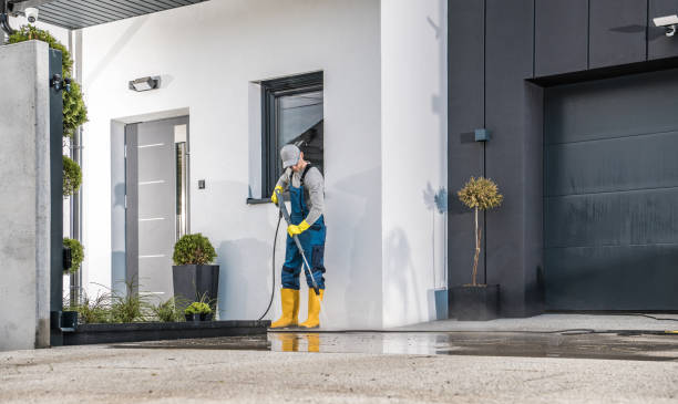 Best Solar Panel Cleaning  in Roseland, NJ
